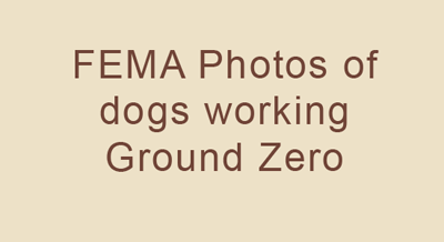 031-FEMA-dogs.png