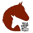 wild-horse-burro-program.png